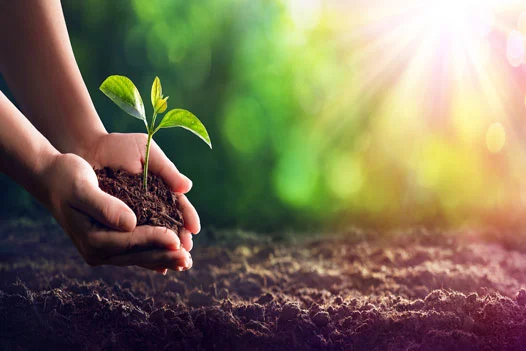 ForestPac Social Responsibility