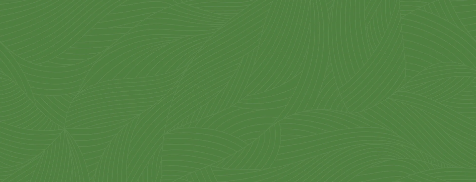 Why ForestPac Pac Works