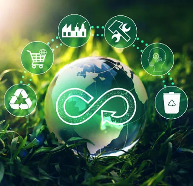 Sustainable Development About FORESTPAC