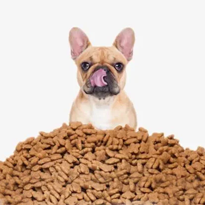 Pet Food Packaging